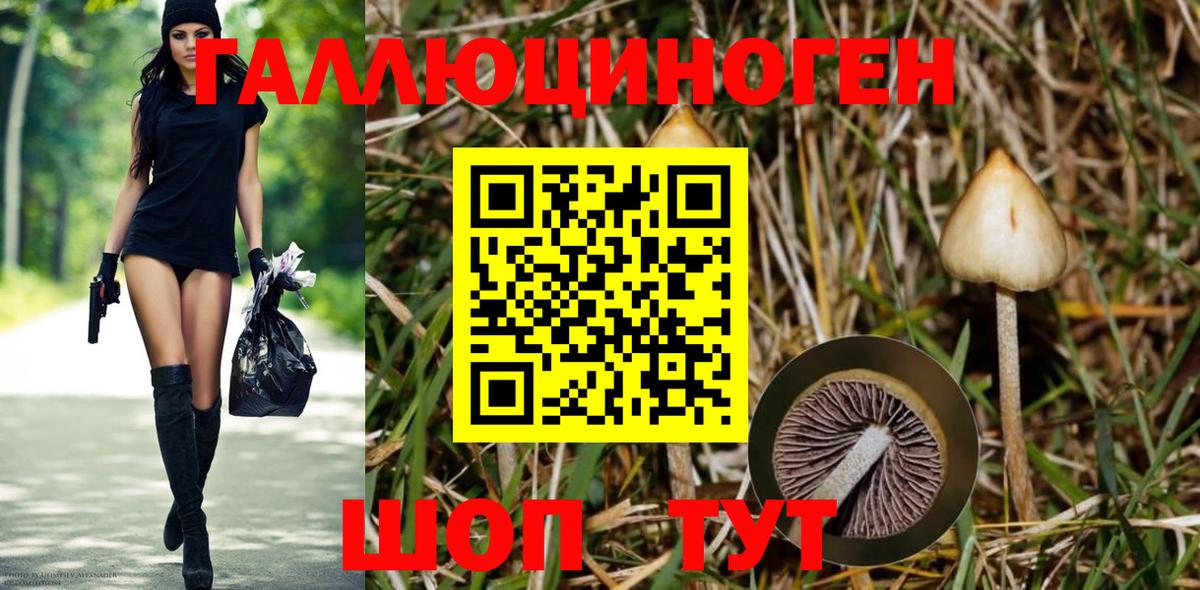 Псилоцибиновые грибы MAGIC MUSHROOMS  где купить наркоту  Великие Луки  Вход с VPN 